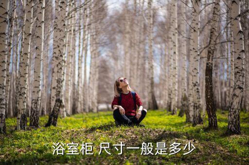 標(biāo)準(zhǔn)衛(wèi)浴基石圖片尺寸圖