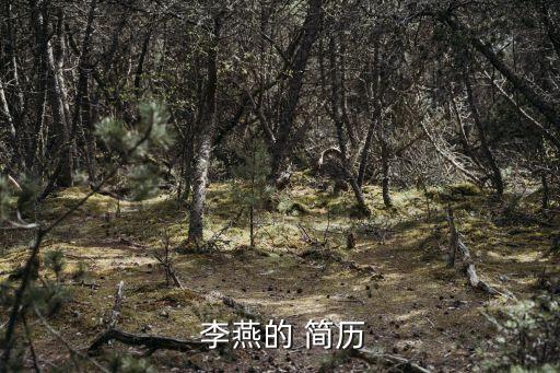  李燕的 簡(jiǎn)歷