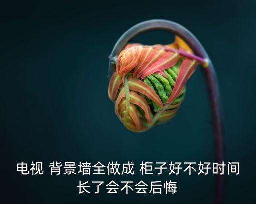 電視 背景墻全做成 柜子好不好時間長了會不會后悔