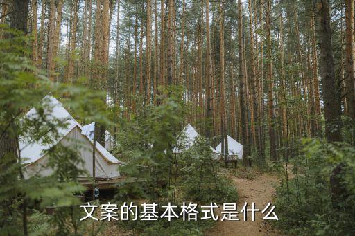 衛(wèi)浴廣告文案模板圖片,衛(wèi)浴店開業(yè)廣告文案
