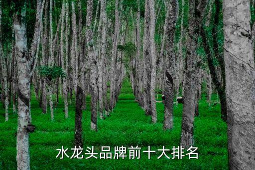 水龍頭品牌前十大排名