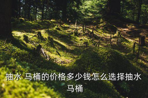 皇島衛(wèi)浴的馬桶多少錢,皇島馬桶多少錢一個(gè)