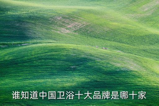 武漢衛(wèi)浴潔具總代理地址,武漢最大衛(wèi)浴潔具批發(fā)市場