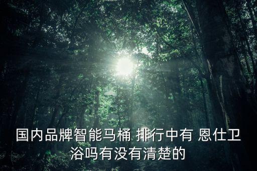 國內(nèi)品牌智能馬桶 排行中有 恩仕衛(wèi)浴嗎有沒有清楚的