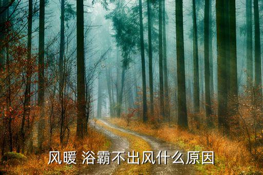 風(fēng)暖 浴霸不出風(fēng)什么原因