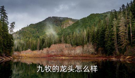 九牧的龍頭怎么樣