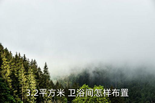 衛(wèi)浴掛件收納設計客廳圖片