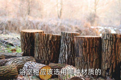 浴室柜應(yīng)該選用哪種材質(zhì)的