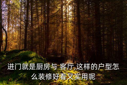 衛(wèi)浴櫥柜收納設(shè)計(jì)客廳圖片