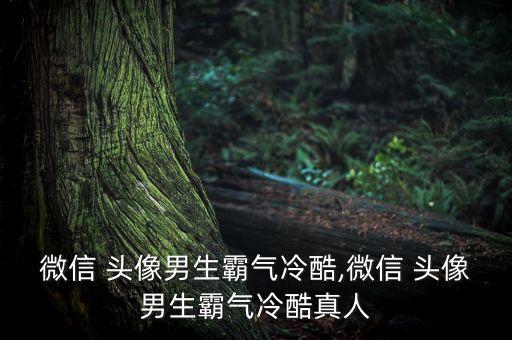微信 頭像男生霸氣冷酷,微信 頭像男生霸氣冷酷真人