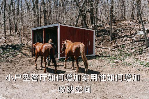 小戶型客廳如何增加實用性如何增加 收納空間
