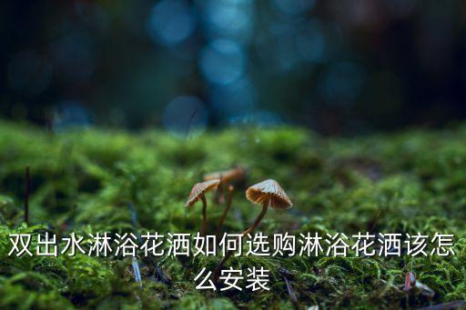 摩恩衛(wèi)浴公司簡介圖片,摩恩曼衛(wèi)浴是幾線品牌