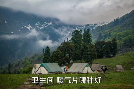 衛(wèi)生間 暖氣片哪種好