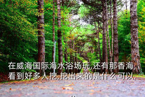 在威海國際海水浴場玩,還有那香海,看到好多人挖,挖出來的是什么可以...