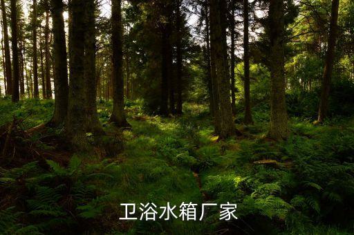 潮州衛(wèi)浴哪個(gè)品牌好,廣東潮州衛(wèi)浴品牌廠家直銷