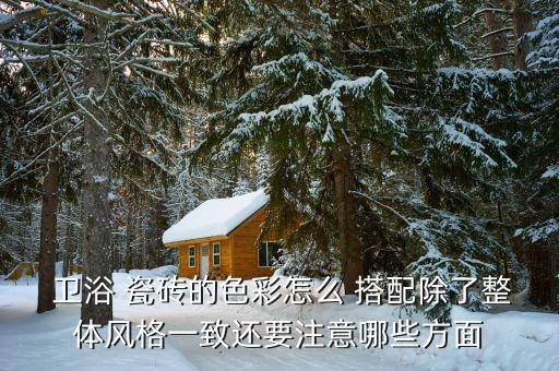 白色瓷磚搭配衛(wèi)浴圖片大全,外墻瓷磚白色跟什么搭配圖片
