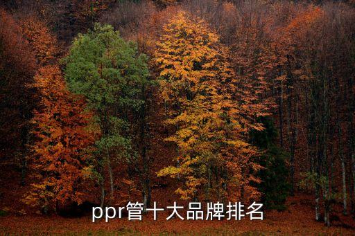 金牛衛(wèi)浴顏色推薦大全圖片