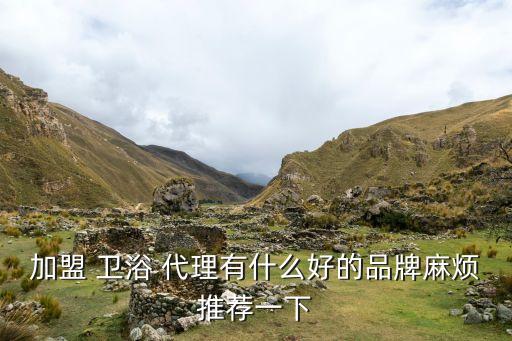 加盟 衛(wèi)浴 代理有什么好的品牌麻煩推薦一下