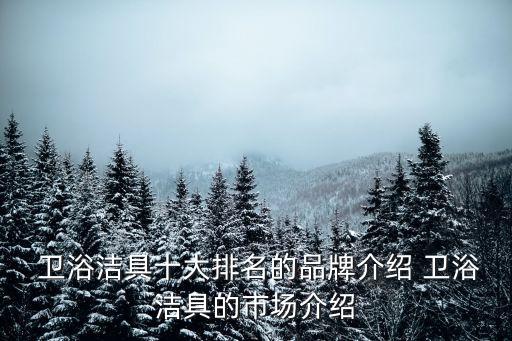  衛(wèi)浴潔具十大排名的品牌介紹 衛(wèi)浴潔具的市場介紹