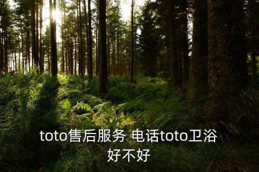 toto售后服務(wù) 電話toto衛(wèi)浴好不好