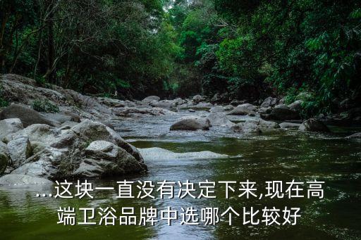 ...這塊一直沒有決定下來,現(xiàn)在高端衛(wèi)浴品牌中選哪個(gè)比較好