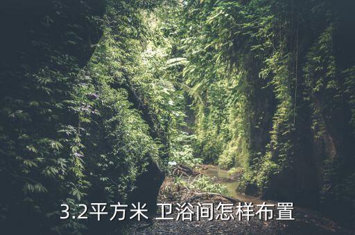 3.2平方米 衛(wèi)浴間怎樣布置