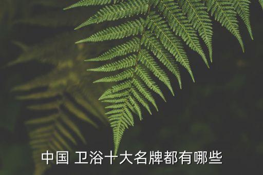 衛(wèi)浴品牌國貨之光圖片欣賞