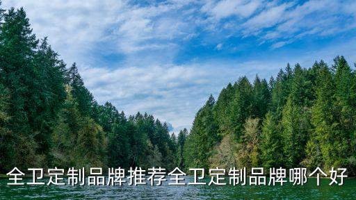 全衛(wèi)定制品牌推薦全衛(wèi)定制品牌哪個好