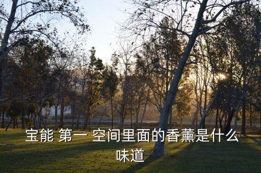  寶能 第一 空間里面的香薰是什么味道