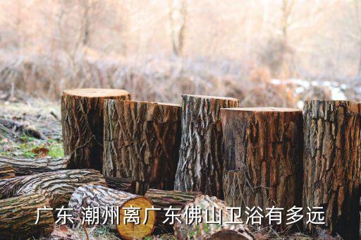 廣東 潮州離廣東佛山衛(wèi)浴有多遠(yuǎn)