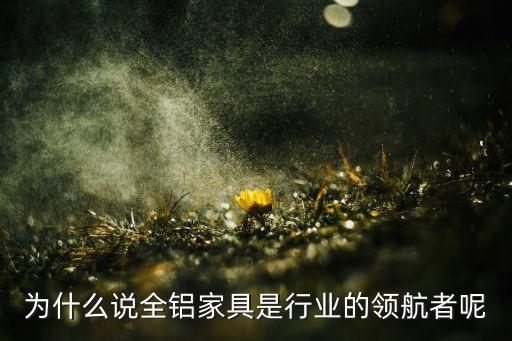 為什么說全鋁家具是行業(yè)的領航者呢