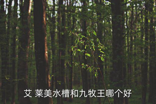 艾 萊美水槽和九牧王哪個(gè)好
