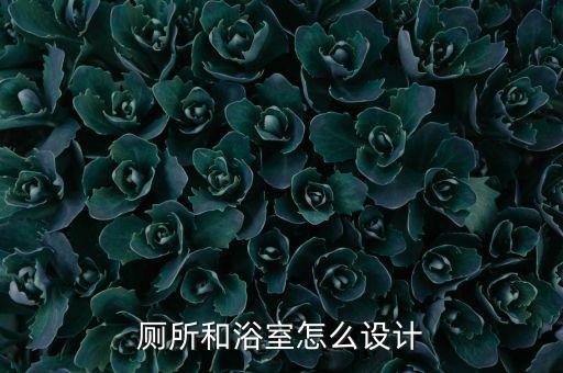 廁所和浴室怎么設(shè)計(jì)
