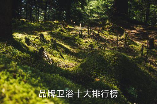 品牌衛(wèi)浴十大排行榜