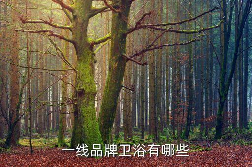 一線品牌衛(wèi)浴有哪些