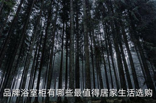 品牌浴室柜有哪些最值得居家生活選購