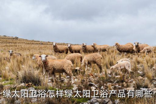 綠太陽(yáng)衛(wèi)浴怎樣綠太陽(yáng)衛(wèi)浴產(chǎn)品有哪些