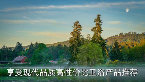 享受現(xiàn)代品質(zhì)高性價(jià)比衛(wèi)浴產(chǎn)品推薦