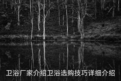 衛(wèi)浴廠家介紹衛(wèi)浴選購(gòu)技巧詳細(xì)介紹