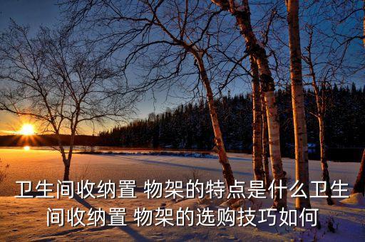 衛(wèi)生間收納置 物架的特點(diǎn)是什么衛(wèi)生間收納置 物架的選購(gòu)技巧如何