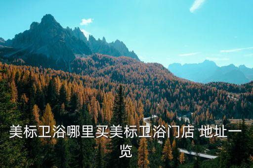 美標衛(wèi)浴哪里買美標衛(wèi)浴門店 地址一覽
