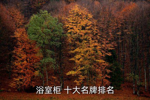 浴室柜 十大名牌排名