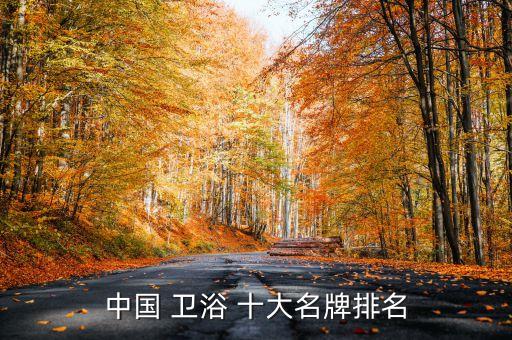 中國 衛(wèi)浴 十大名牌排名