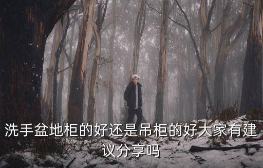 洗手盆地柜的好還是吊柜的好大家有建議分享嗎