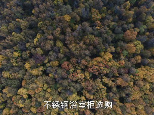  不銹鋼浴室柜選購