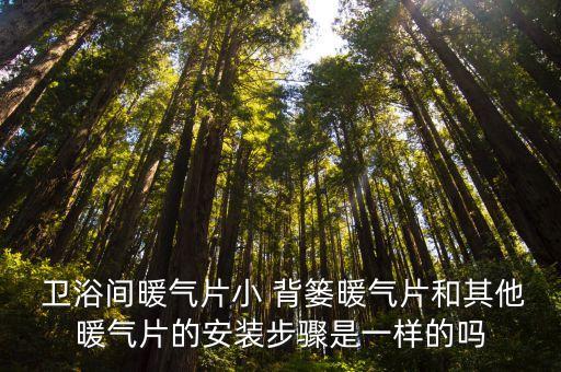  衛(wèi)浴間暖氣片小 背簍暖氣片和其他暖氣片的安裝步驟是一樣的嗎