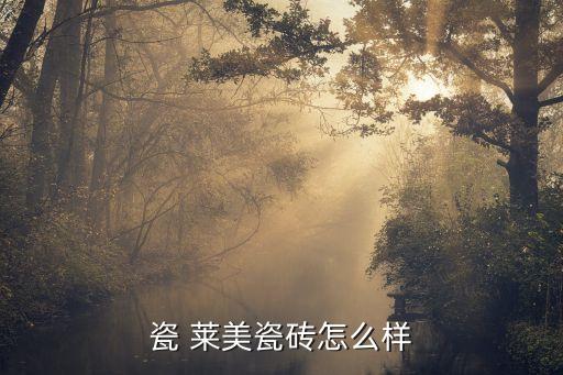 瓷 萊美瓷磚怎么樣