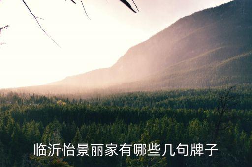 臨沂怡景麗家有哪些幾句牌子