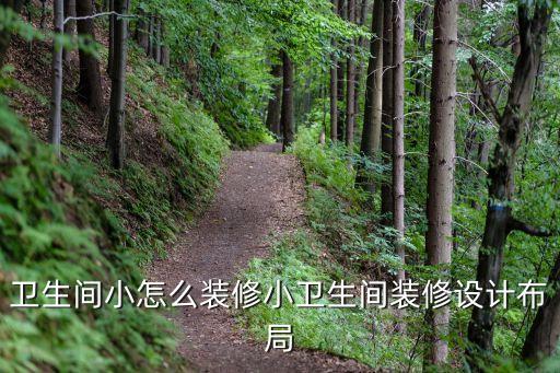 衛(wèi)生間小怎么裝修小衛(wèi)生間裝修設(shè)計(jì)布局