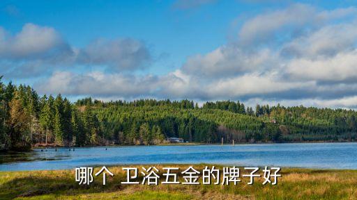 哪個(gè) 衛(wèi)浴五金的牌子好